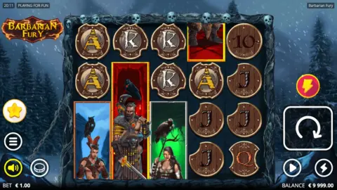 Barbarian Fury