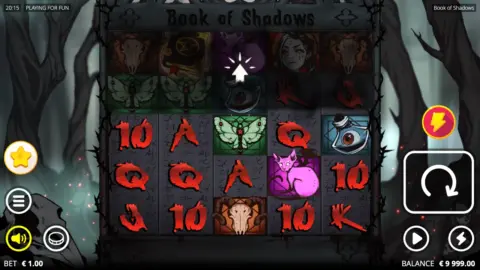 Book Of Shadows