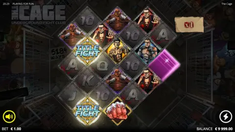 The Cage